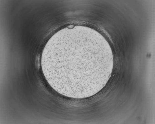 X0000116780020201001281224