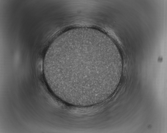 X0000116780021201001281224