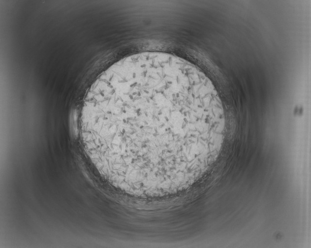 X0000116780022201001281224