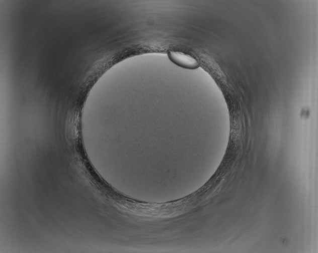 X0000116780023201001281224