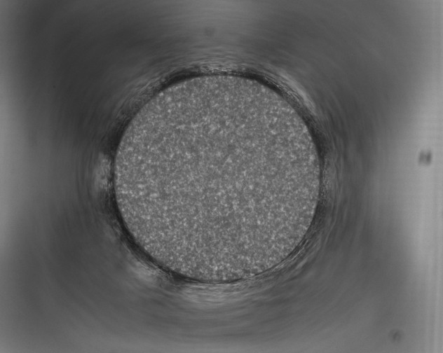 X0000116780025201001281224