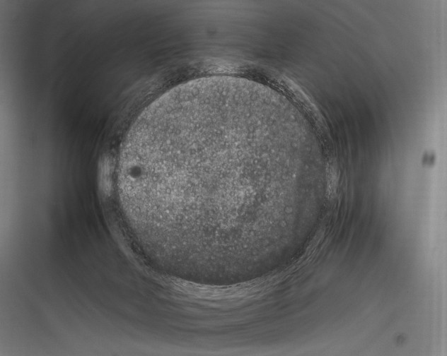 X0000116780026201001281224