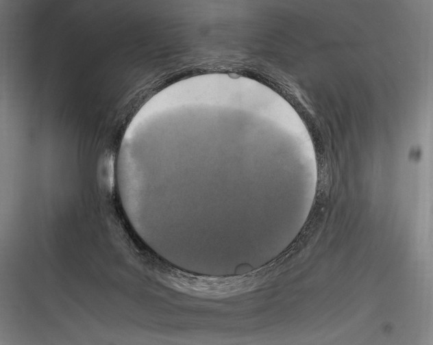 X0000116780027201001281224