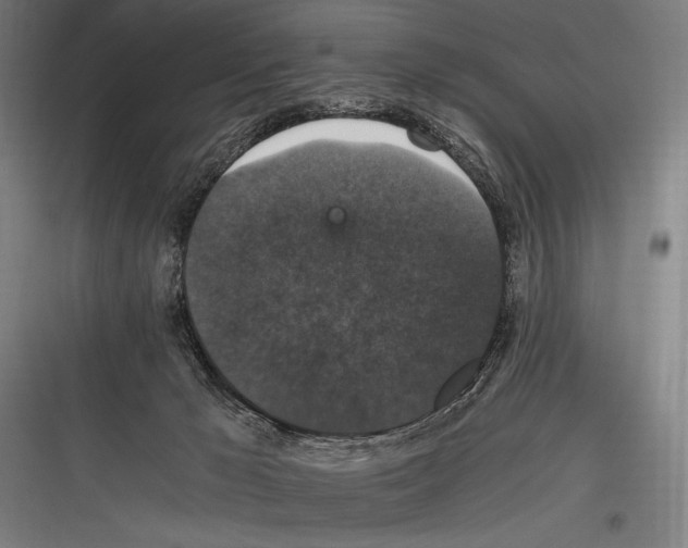 X0000116780029201001281224