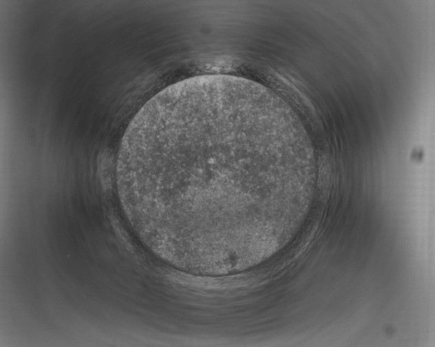 X0000116780030201001281224