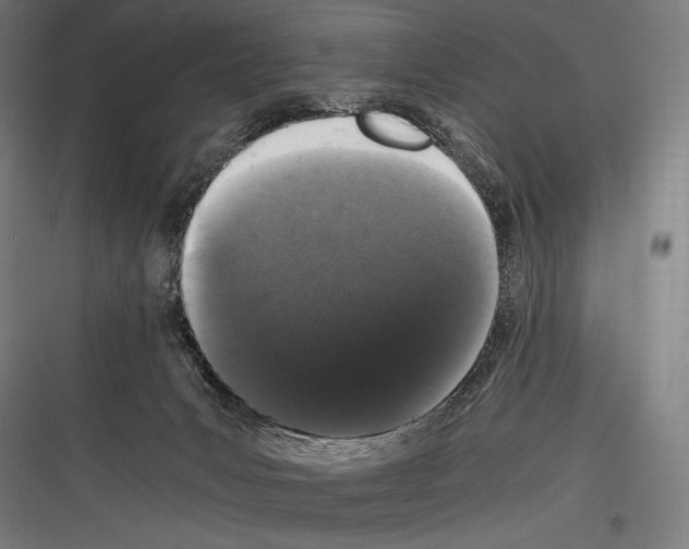 X0000116780031201001281224