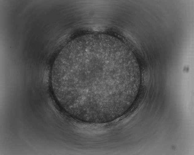 X0000116780032201001281224