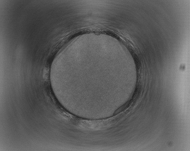 X0000116780033201001281224