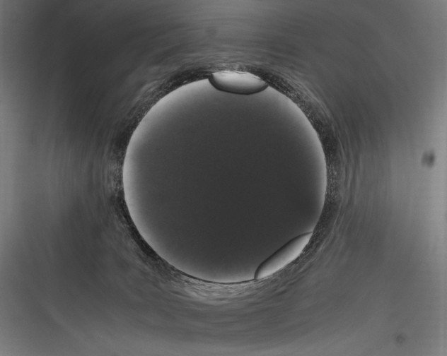 X0000116780035201001281224