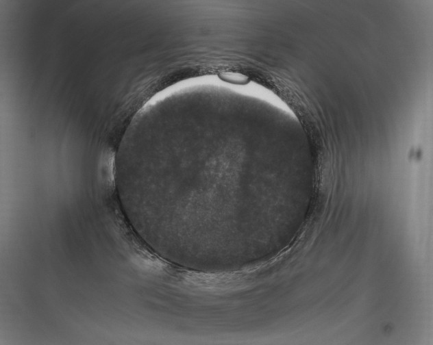 X0000116780041201001281223