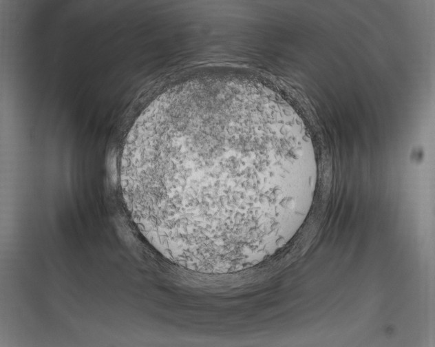 X0000116780042201001281223