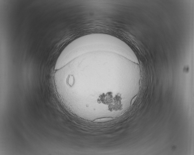 X0000116780043201001281223