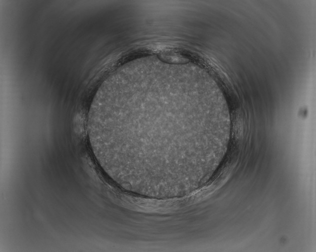 X0000116780044201001281223