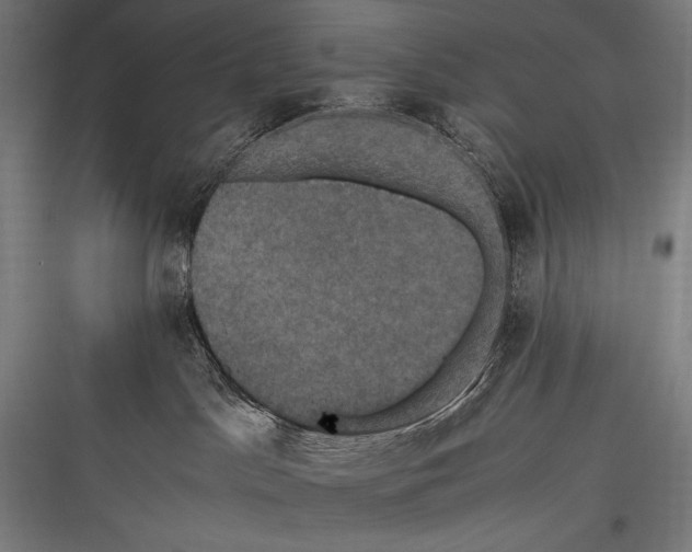 X0000116780045201001281223