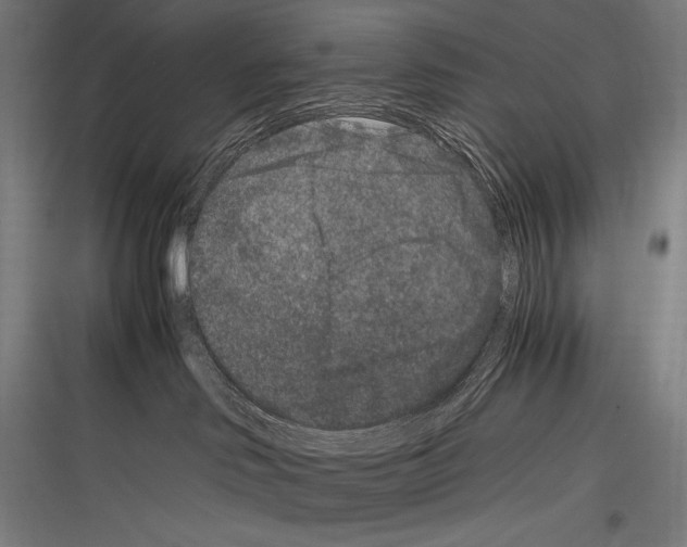 X0000116780046201001281223