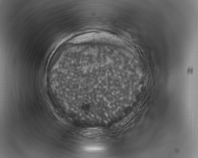 X0000116780050201001281223