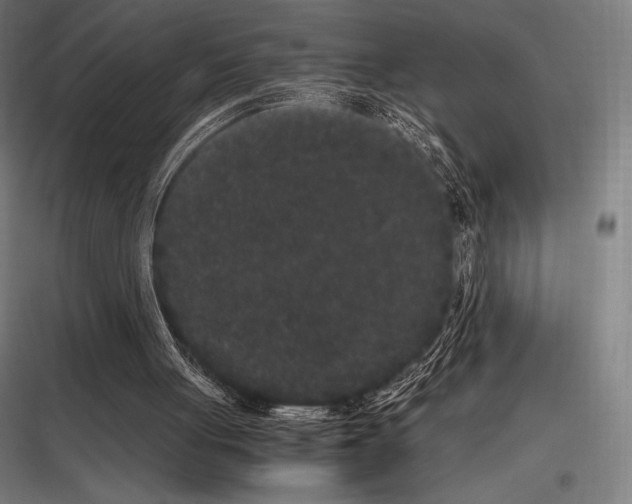 X0000116780051201001281223