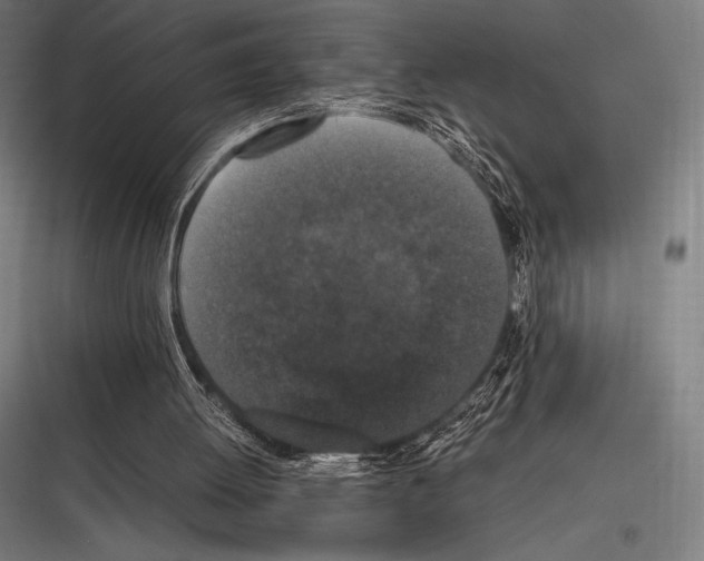 X0000116780052201001281223