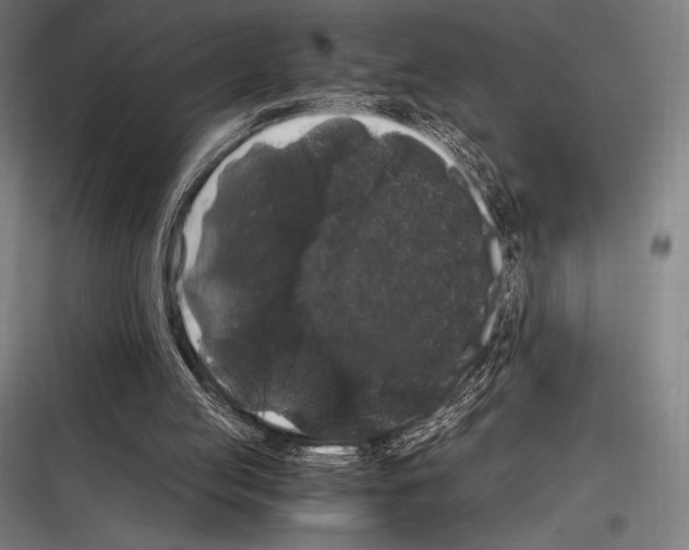 X0000116780053201001281223