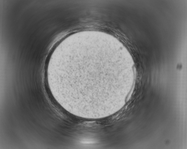 X0000116780054201001281223