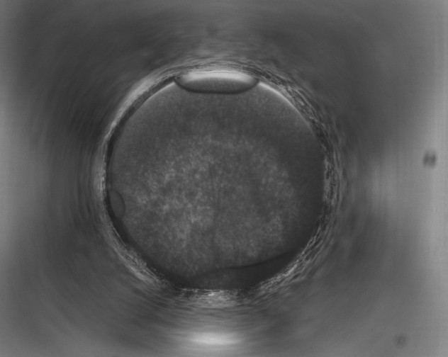 X0000116780056201001281223