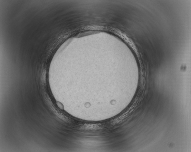 X0000116780057201001281223