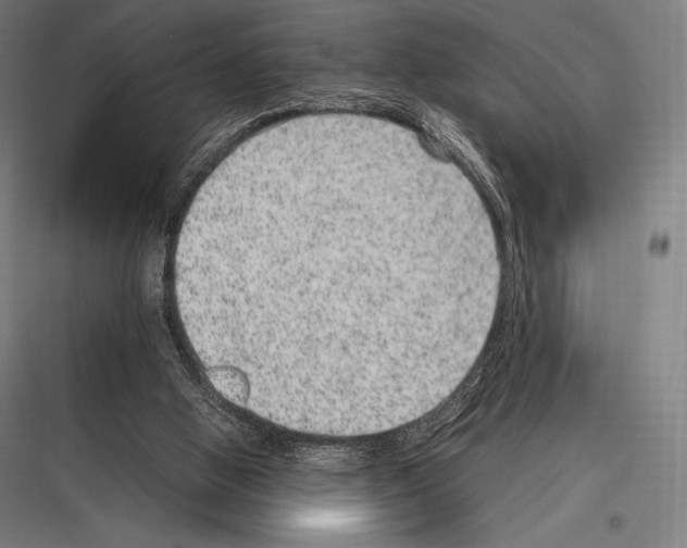 X0000116780058201001281223