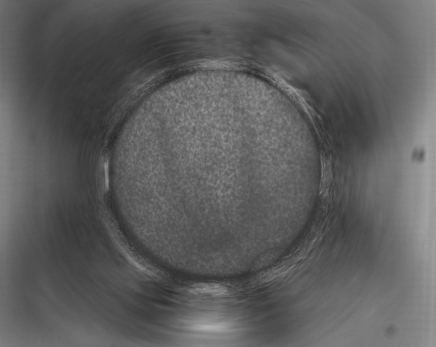 X0000116780061201001281223