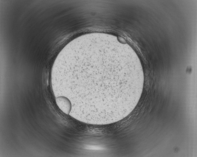 X0000116780062201001281223