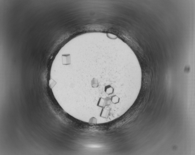 X0000116780064201001281223