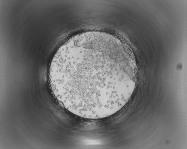 X0000116780068201001281223