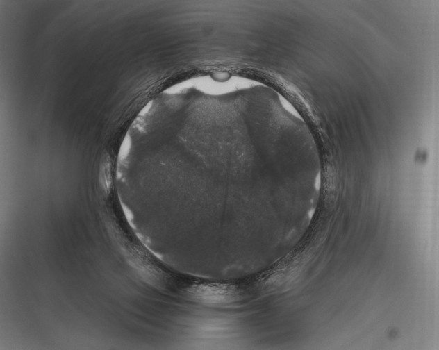 X0000116780069201001281223