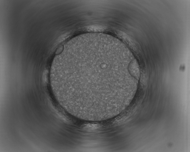 X0000116780071201001281223