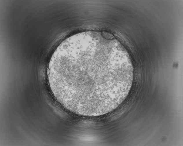 X0000116780072201001281223