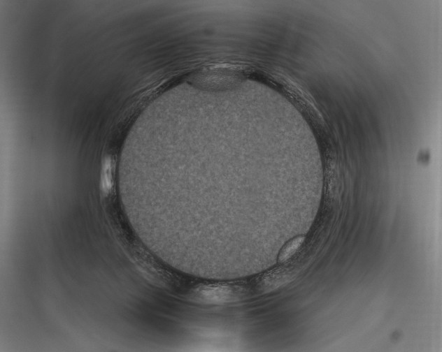 X0000116780075201001281223