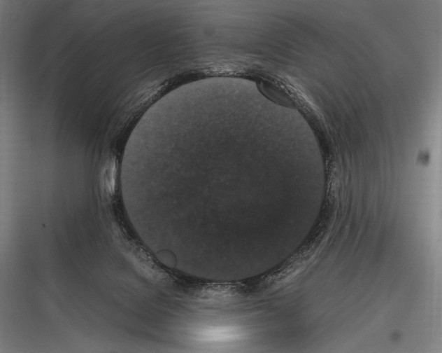 X0000116780076201001281223