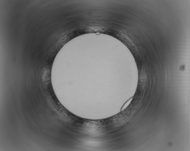 X0000116780079201001281223