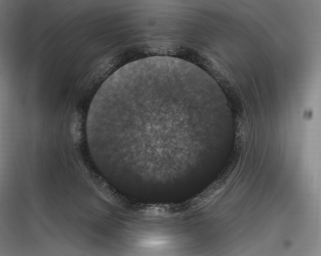 X0000116780080201001281223