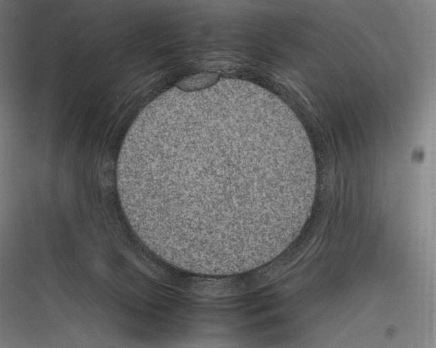 X0000116780081201001281223