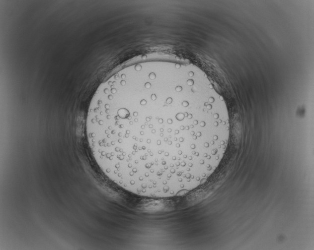 X0000116780083201001281223