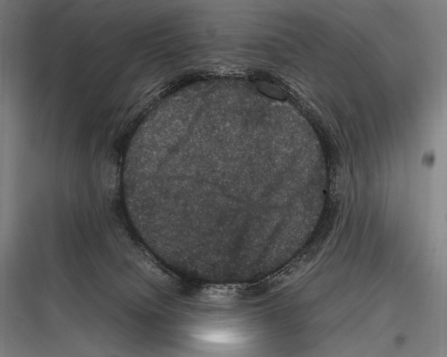 X0000116780084201001281223