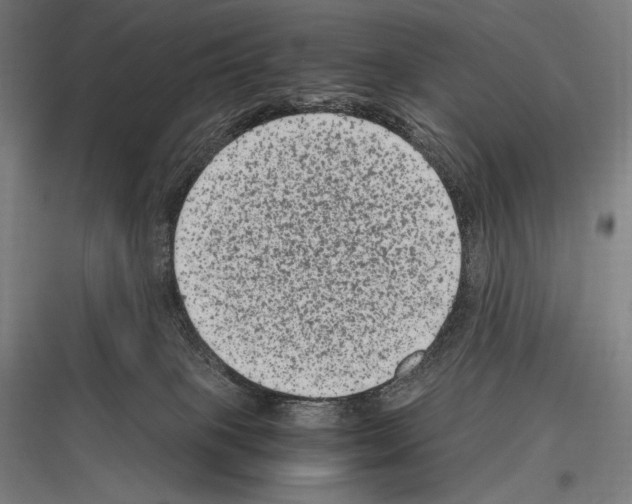 X0000116780085201001281223