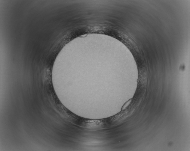 X0000116780087201001281223