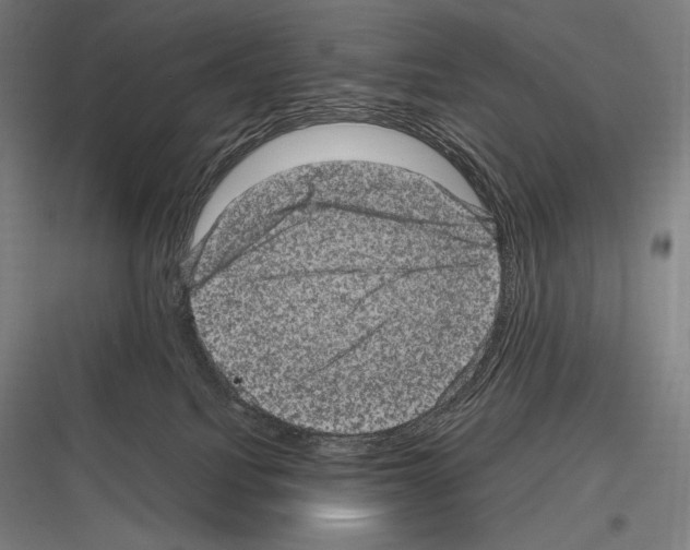 X0000116780088201001281223