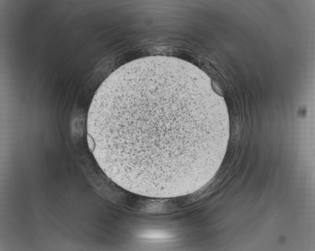 X0000116780090201001281223