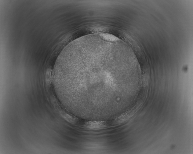 X0000116780093201001281223