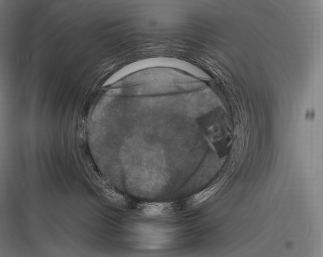 X0000116780096201001281223