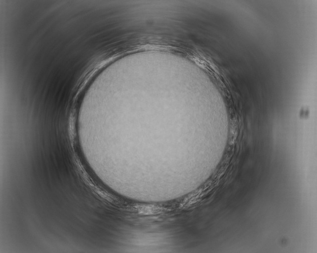 X0000116780098201001281223