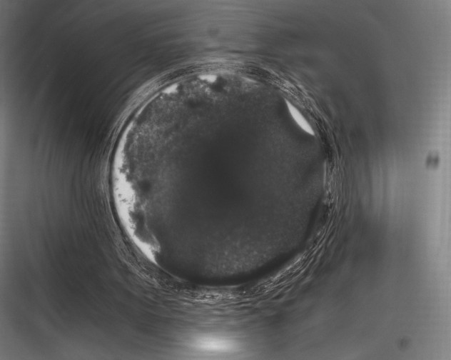 X0000116780099201001281223