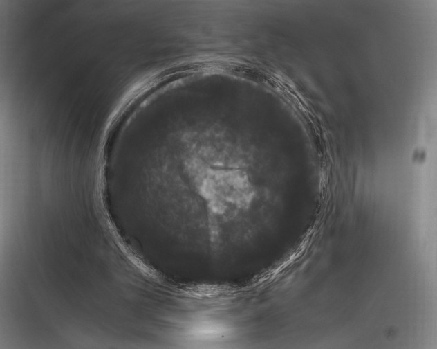 X0000116780101201001281223